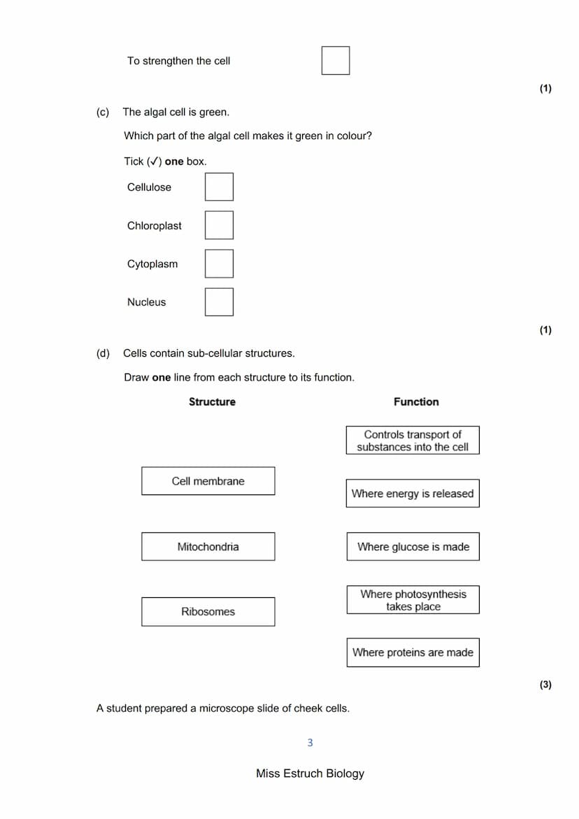 Exams 2022
GCSE Biology Higher Tier Paper 1
156 marks
miss
ESTRUCH
BIOLOGY
1
Miss Estruch Biology Q1.
This question is about cells.
(a) Figu