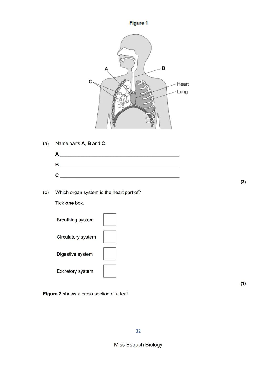 Exams 2022
GCSE Biology Higher Tier Paper 1
156 marks
miss
ESTRUCH
BIOLOGY
1
Miss Estruch Biology Q1.
This question is about cells.
(a) Figu