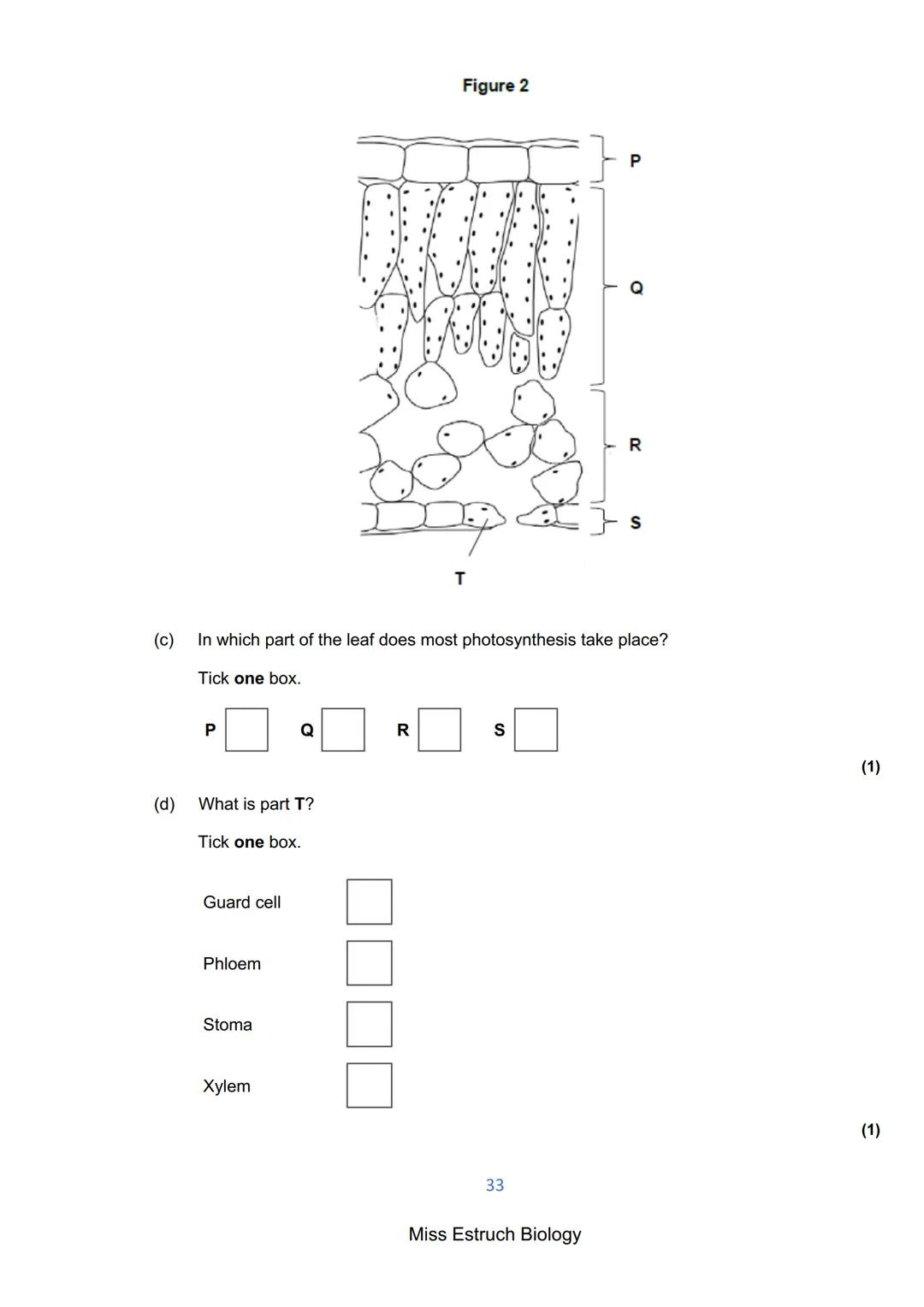 Exams 2022
GCSE Biology Higher Tier Paper 1
156 marks
miss
ESTRUCH
BIOLOGY
1
Miss Estruch Biology Q1.
This question is about cells.
(a) Figu