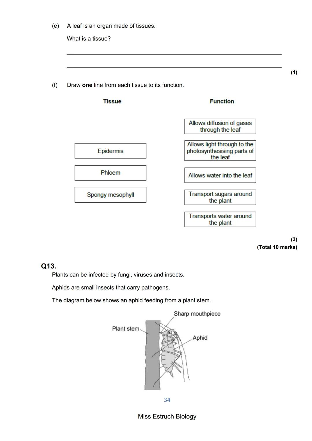 Exams 2022
GCSE Biology Higher Tier Paper 1
156 marks
miss
ESTRUCH
BIOLOGY
1
Miss Estruch Biology Q1.
This question is about cells.
(a) Figu