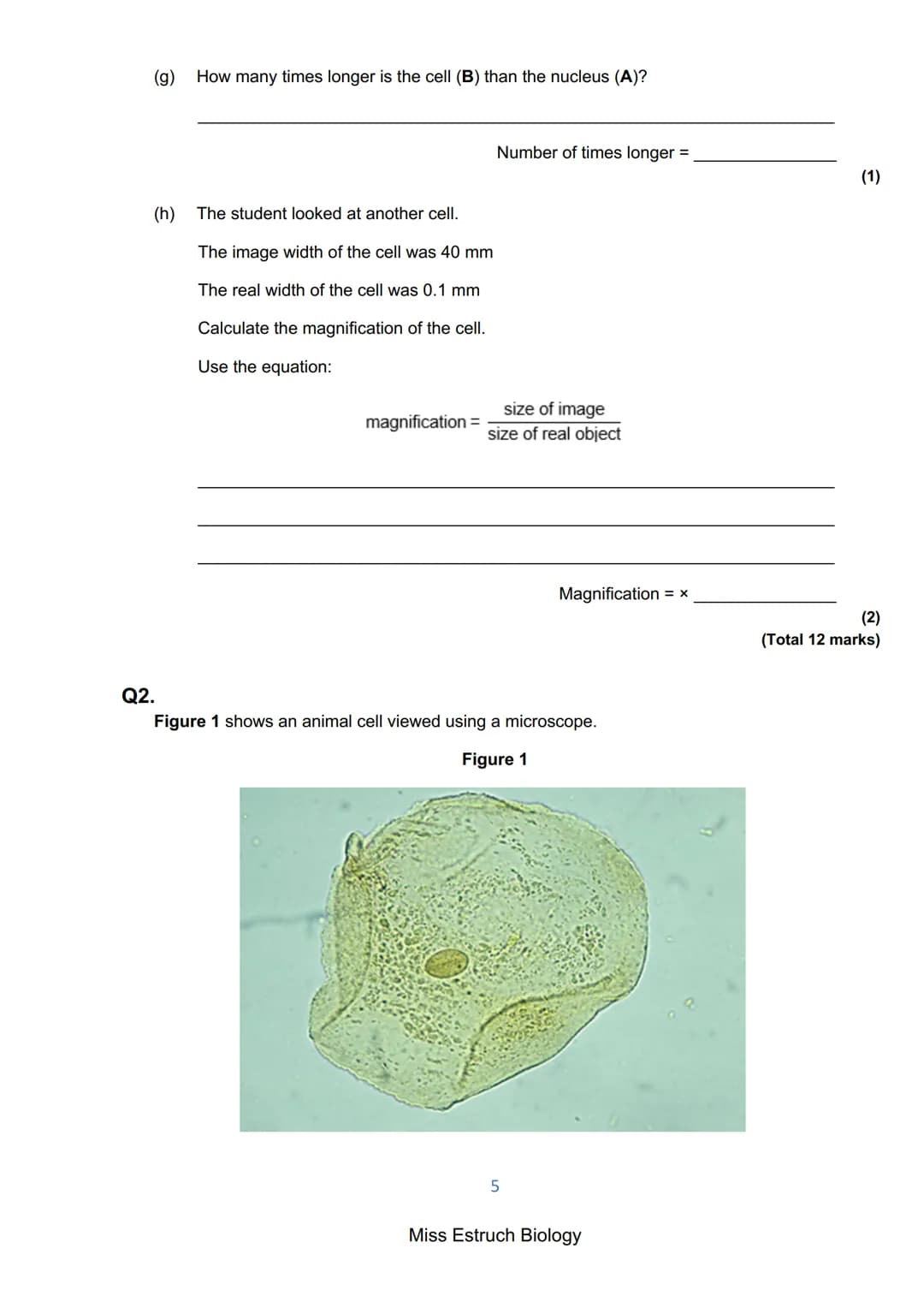 Exams 2022
GCSE Biology Higher Tier Paper 1
156 marks
miss
ESTRUCH
BIOLOGY
1
Miss Estruch Biology Q1.
This question is about cells.
(a) Figu