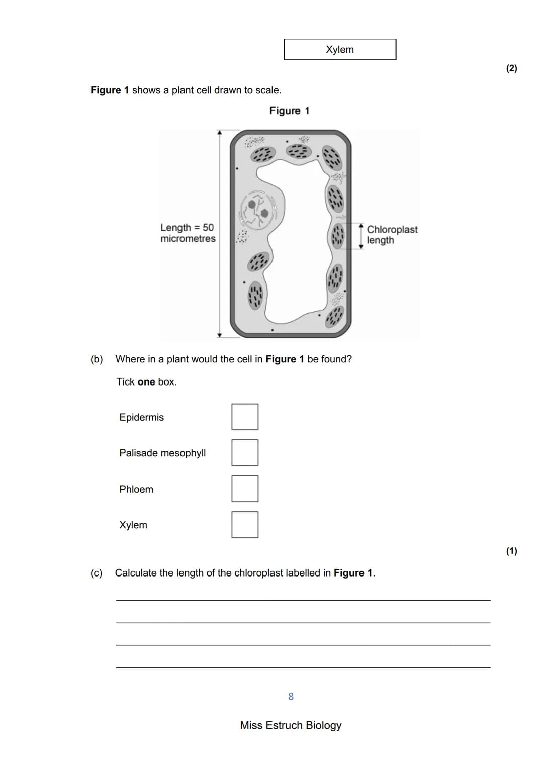 Exams 2022
GCSE Biology Higher Tier Paper 1
156 marks
miss
ESTRUCH
BIOLOGY
1
Miss Estruch Biology Q1.
This question is about cells.
(a) Figu