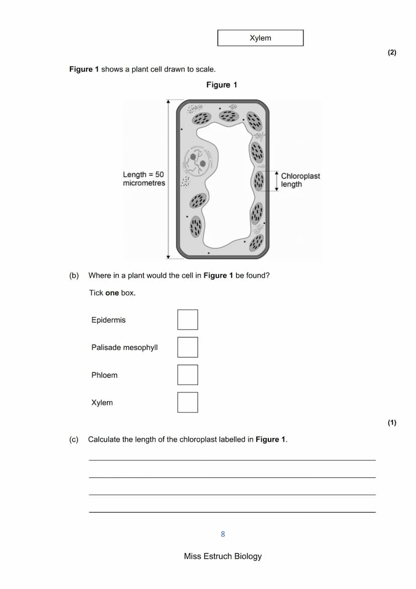 Exams 2022
GCSE Biology Higher Tier Paper 1
156 marks
miss
ESTRUCH
BIOLOGY
1
Miss Estruch Biology Q1.
This question is about cells.
(a) Figu