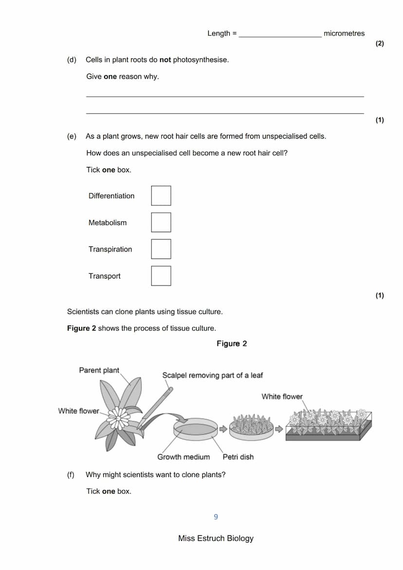 Exams 2022
GCSE Biology Higher Tier Paper 1
156 marks
miss
ESTRUCH
BIOLOGY
1
Miss Estruch Biology Q1.
This question is about cells.
(a) Figu