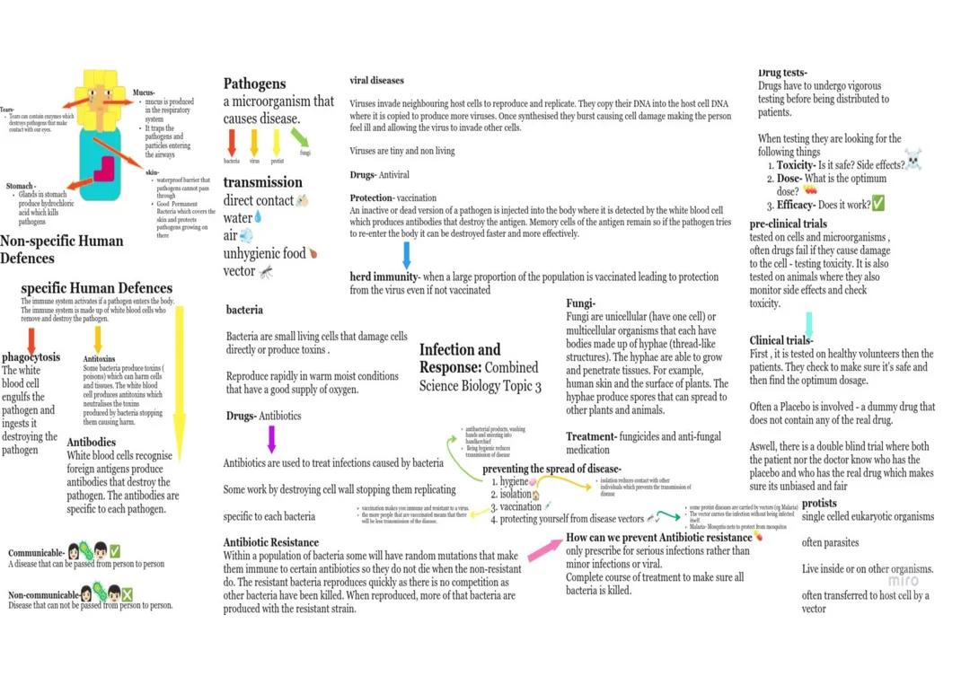 Infection and Response Biology Topic 3