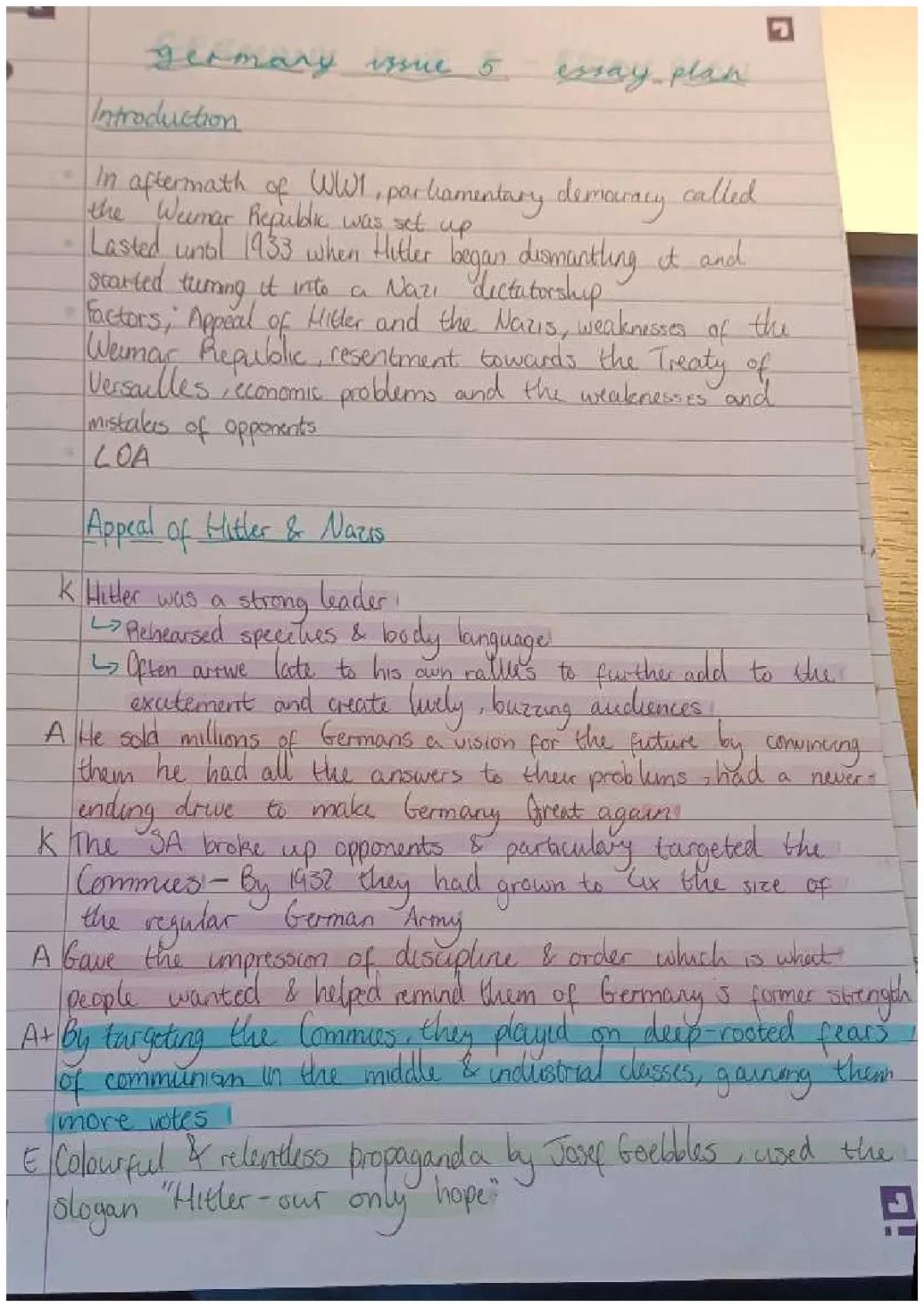 Germany Issue 5 - Essay Plan 