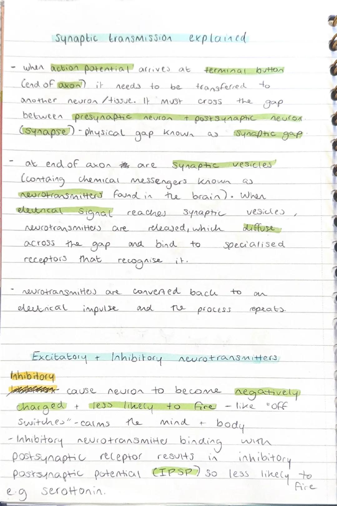 Psychology
Biopsychology:
motor
area
somatosensory
Frontal
lobe
menory
learning
broca
area
Conly
left)
hearing
+
memory
Parietal
lobe
touch 