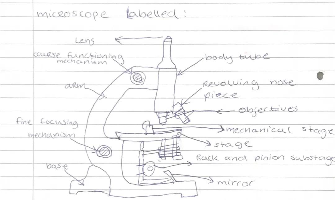 Microscope labelled 