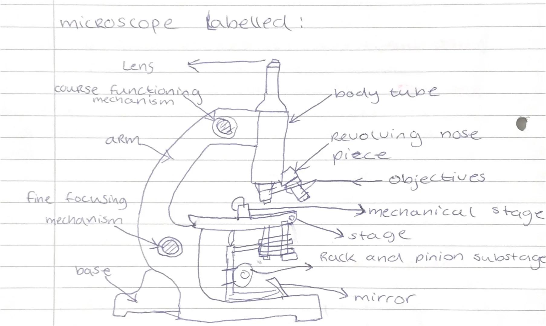 microscope labelled:
Lens
course functioning
mechanism
arm
fine focusing
mechanism
base
·body tube
Revolving nose
piece
<objectives.
mechani