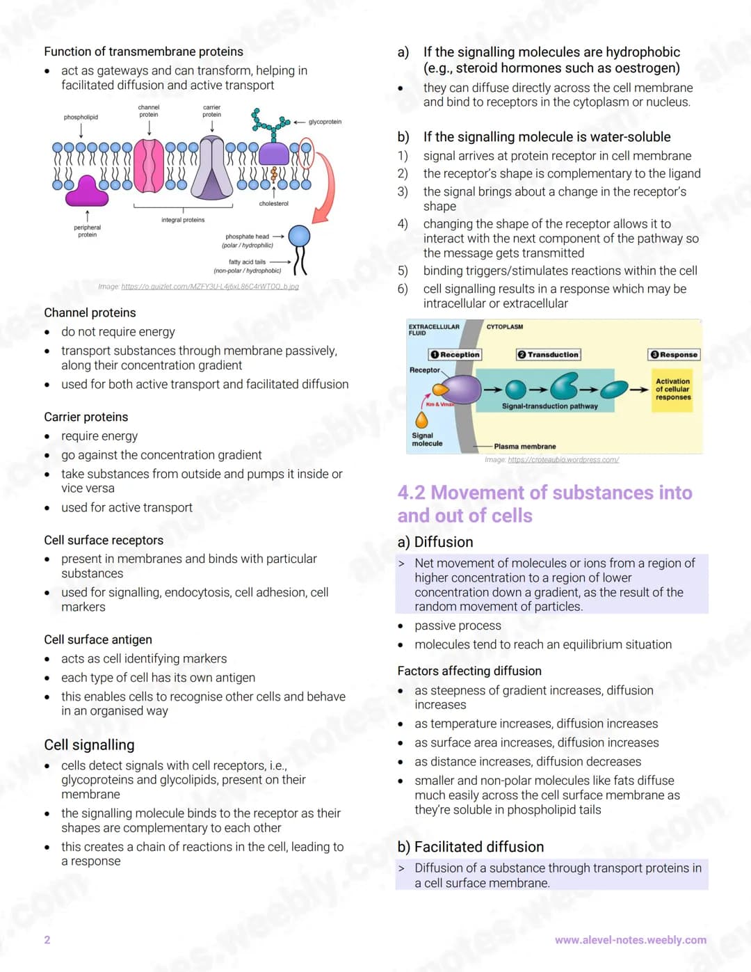 4 Cell Membranes and Transport
4.1 Fluid mosaic membranes
Fluid mosaic model
• 'fluid' refers to the movement of phospholipids while
'mosaic