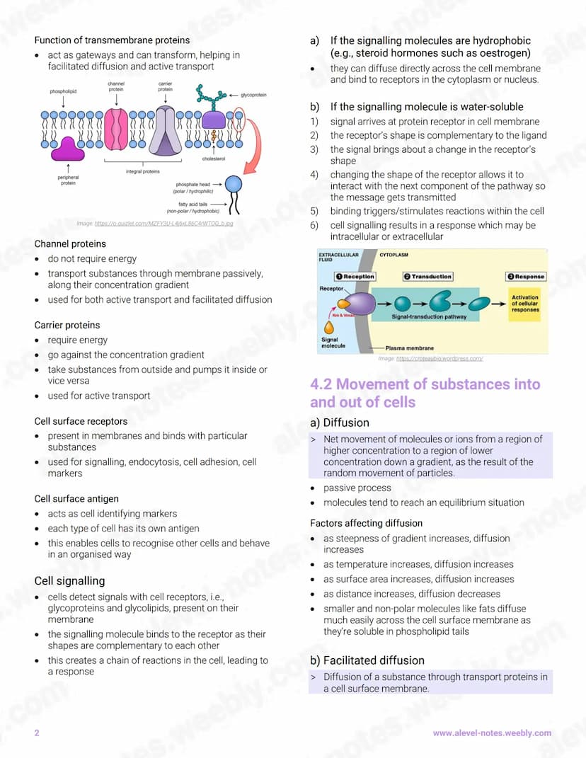4 Cell Membranes and Transport
4.1 Fluid mosaic membranes
Fluid mosaic model
• 'fluid' refers to the movement of phospholipids while
'mosaic