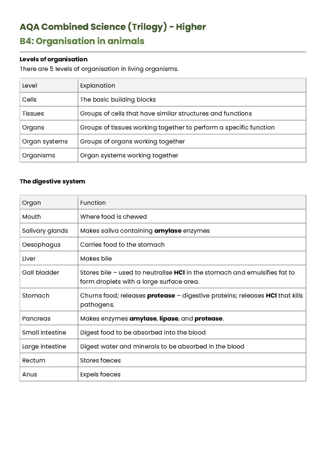 B4: Organisation in animals