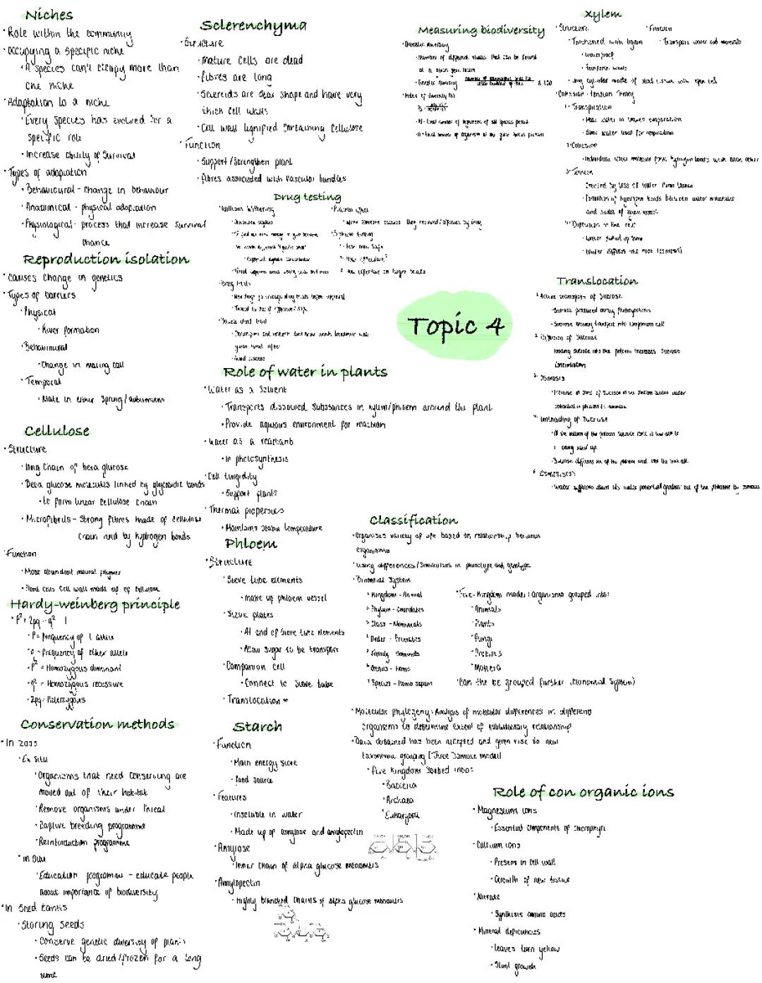 How Animals Adapt to Their Homes and Ways to Save Them!