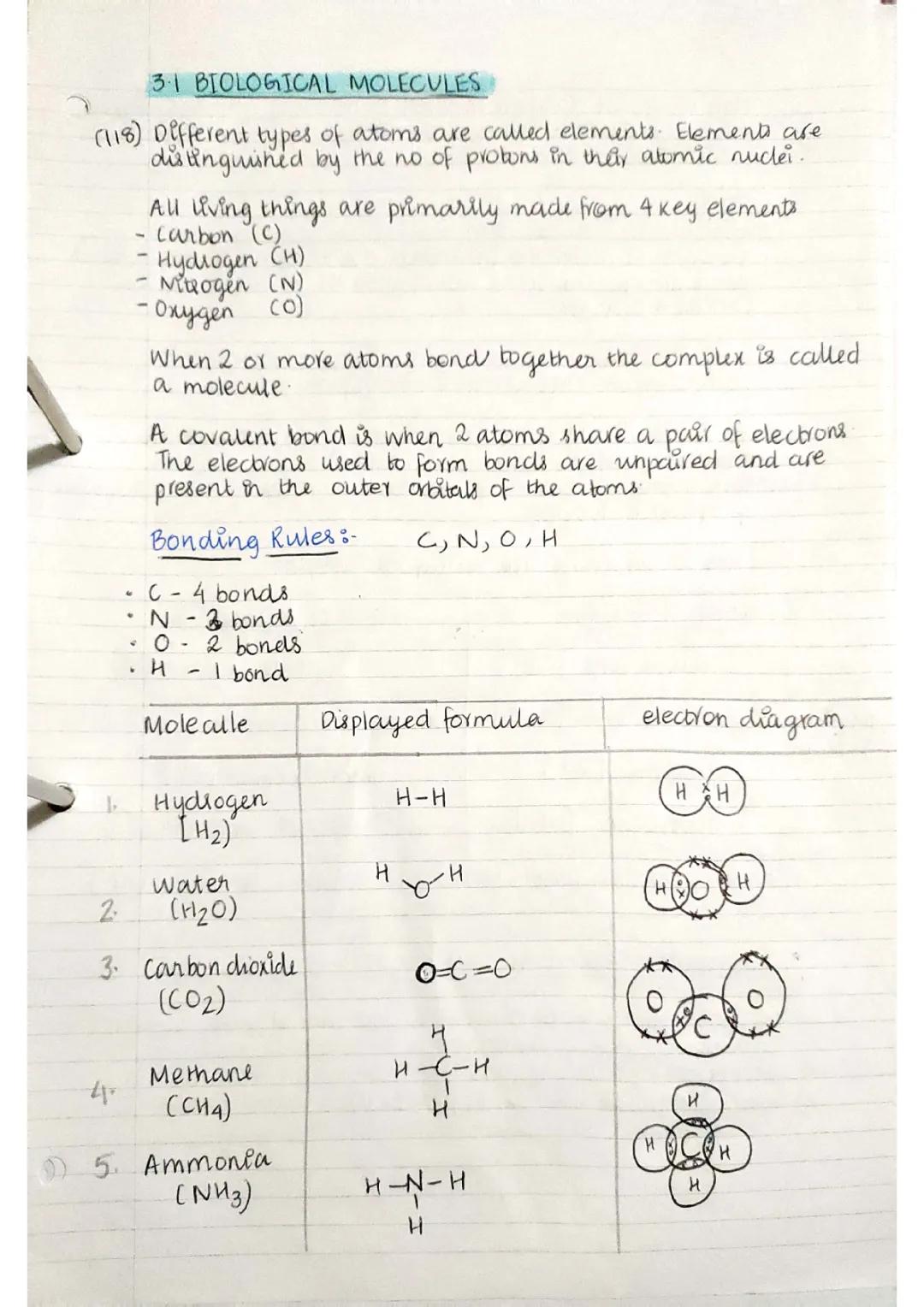 Biological Molecules