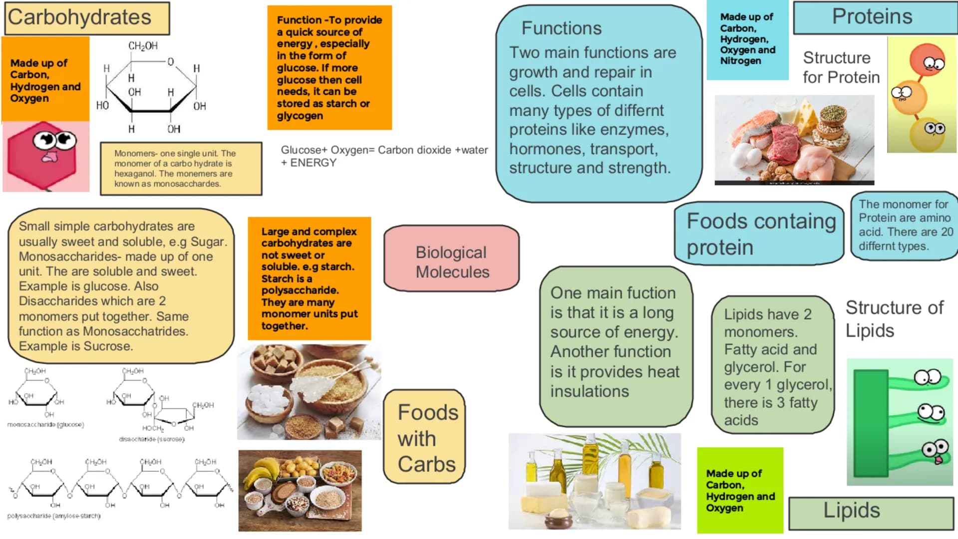 Carbohydrates
Made up of
Carbon,
Hydrogen and
Oxygen
НО
OO
CH₂OH
O
OH
OH
monosaccharide (glucose)
CH₂OH
OH
OH
H
HO
OH
polysaccharide (amylos