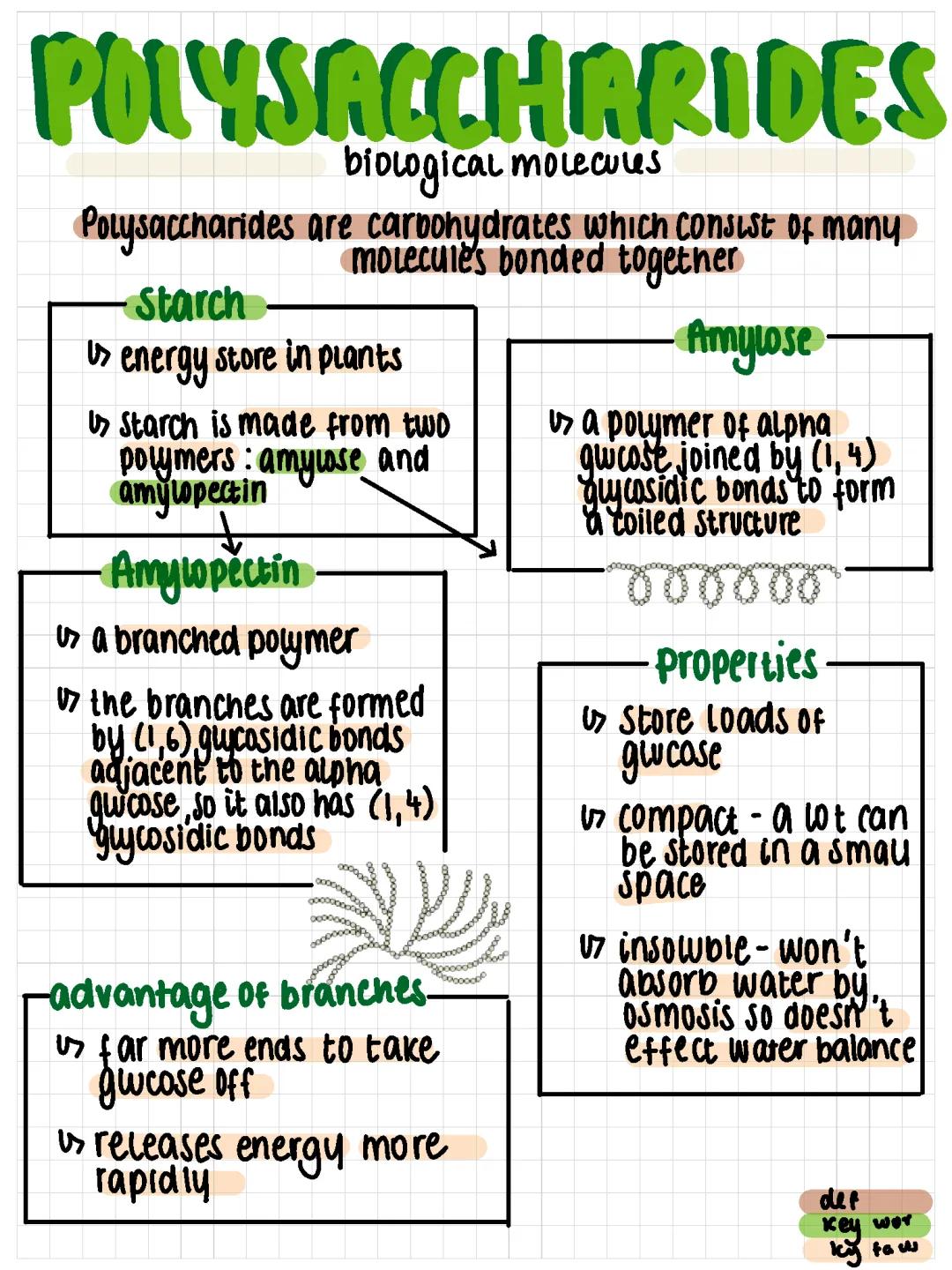 Polysaccharides 