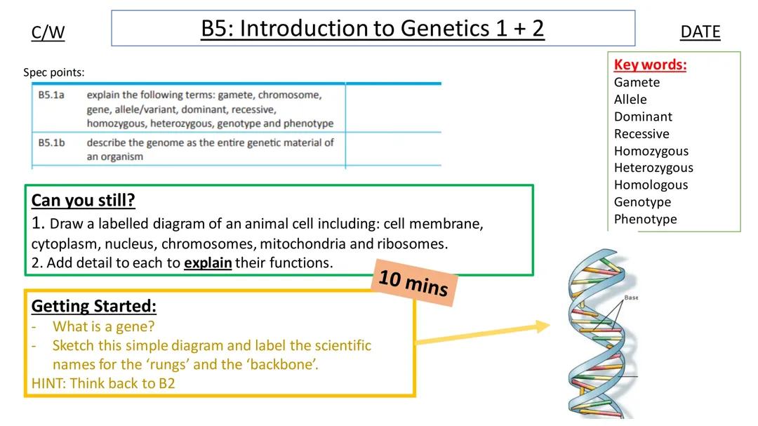 Free PDF: Your Fun Study Guide to Genetics & Cell Structures!