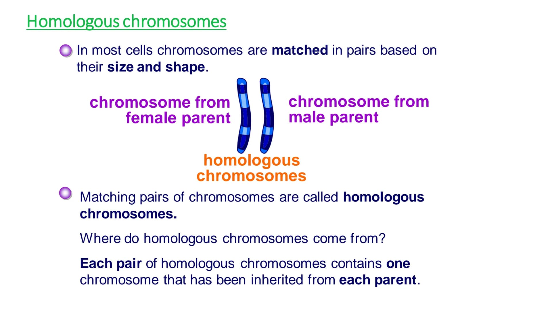 C/W
Spec points:
B5.1a
B5.1b
B5: Introduction to Genetics 1 + 2
explain the following terms: gamete, chromosome,
gene, allele/variant, domin