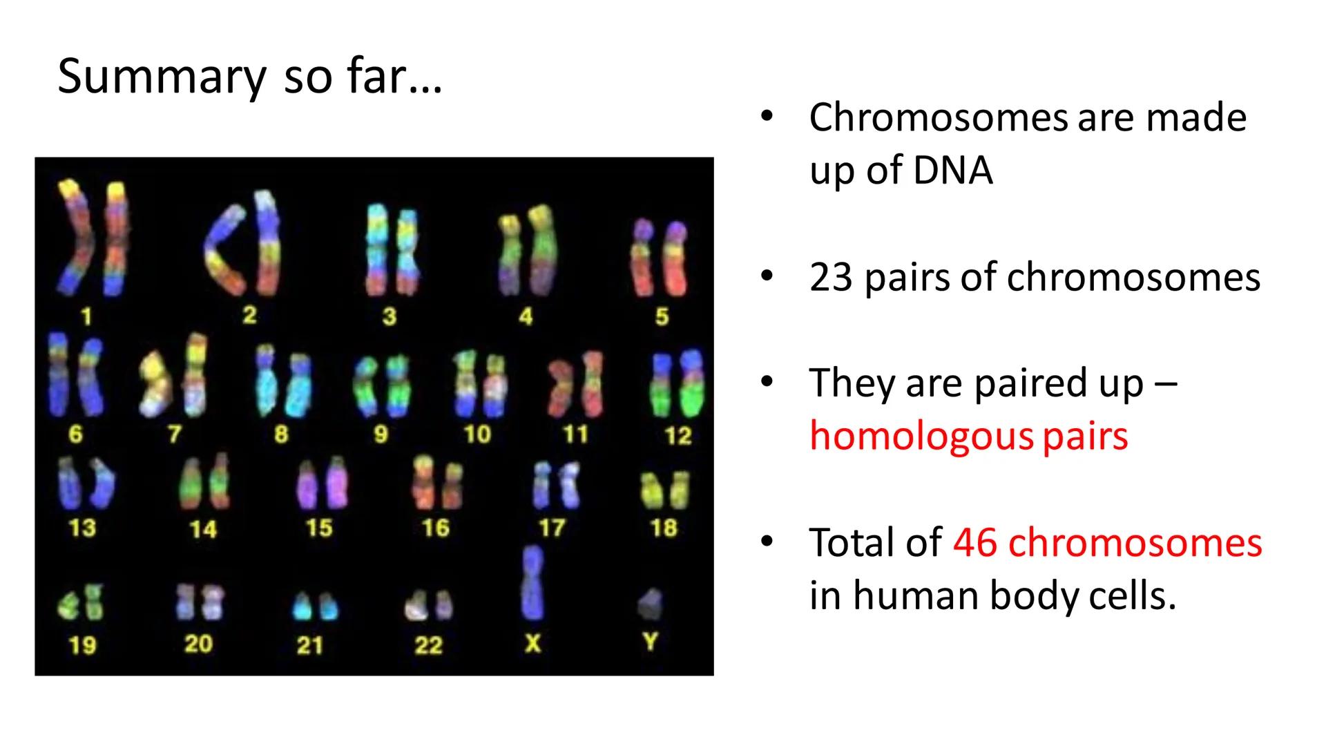 C/W
Spec points:
B5.1a
B5.1b
B5: Introduction to Genetics 1 + 2
explain the following terms: gamete, chromosome,
gene, allele/variant, domin