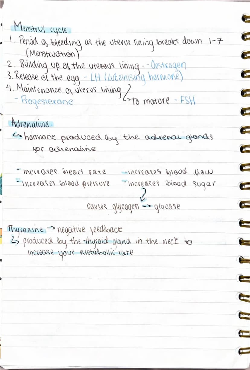Homeostatis
•maintaining a stable internal
environment in response to both internal
and external conditions.
Receptors (e.g. temperature cha