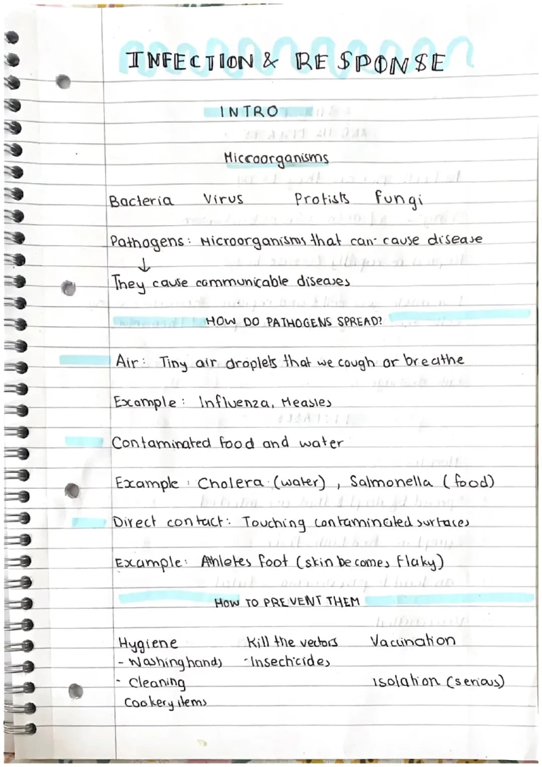 Stay Healthy: Easy Tips to Prevent Germs and Understand Tiny Creatures