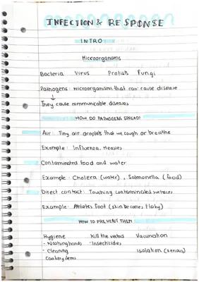 Know Infection and Response pt1 yr10 thumbnail