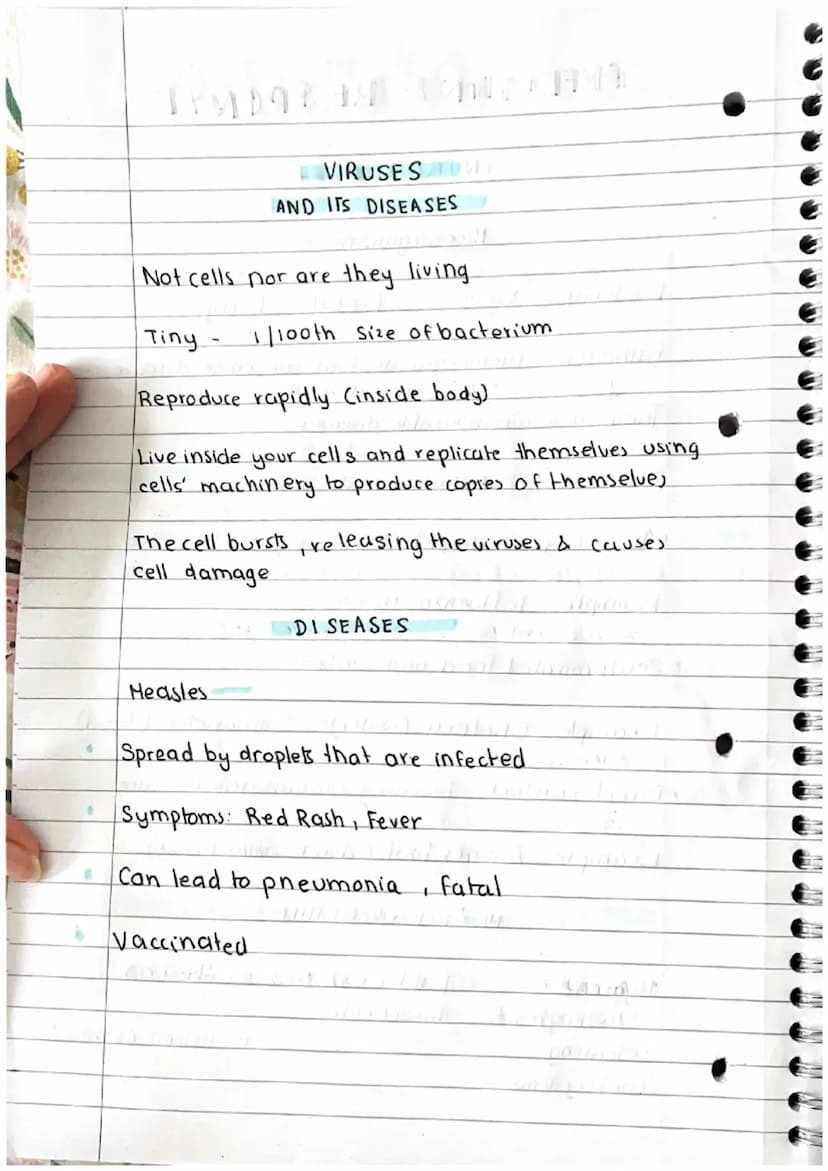 INFECTION & RESPONSE
Bacteria
INTRO
Protists fungi
Pathogens: Microorganisms that can cause disease
↓
stqall
They cause communicable disease