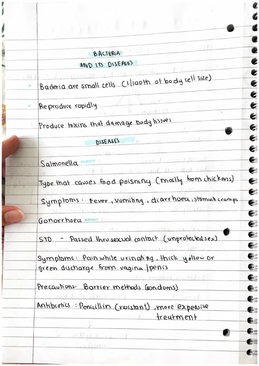 INFECTION & RESPONSE
Bacteria
INTRO
Protists fungi
Pathogens: Microorganisms that can cause disease
↓
stqall
They cause communicable disease