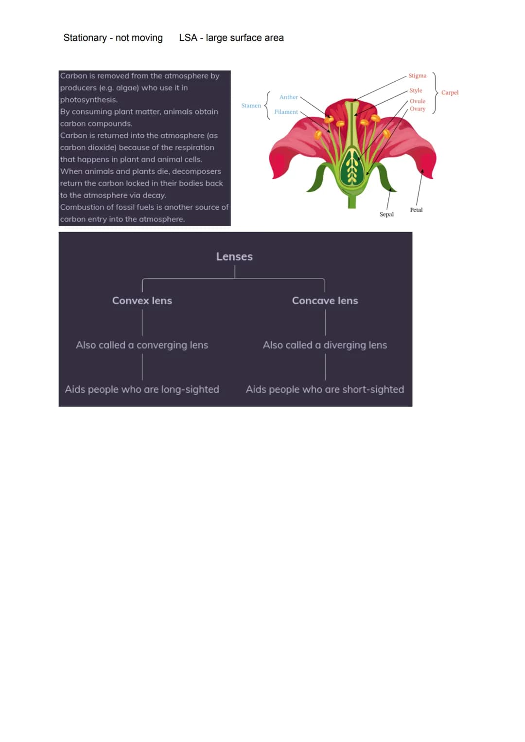 Stationary - not moving
Cells or smt
LSA - large surface area
Eukaryotic Cells - Plants, animals, fungi, protists, 10 - 100μm. Has nucleus, 