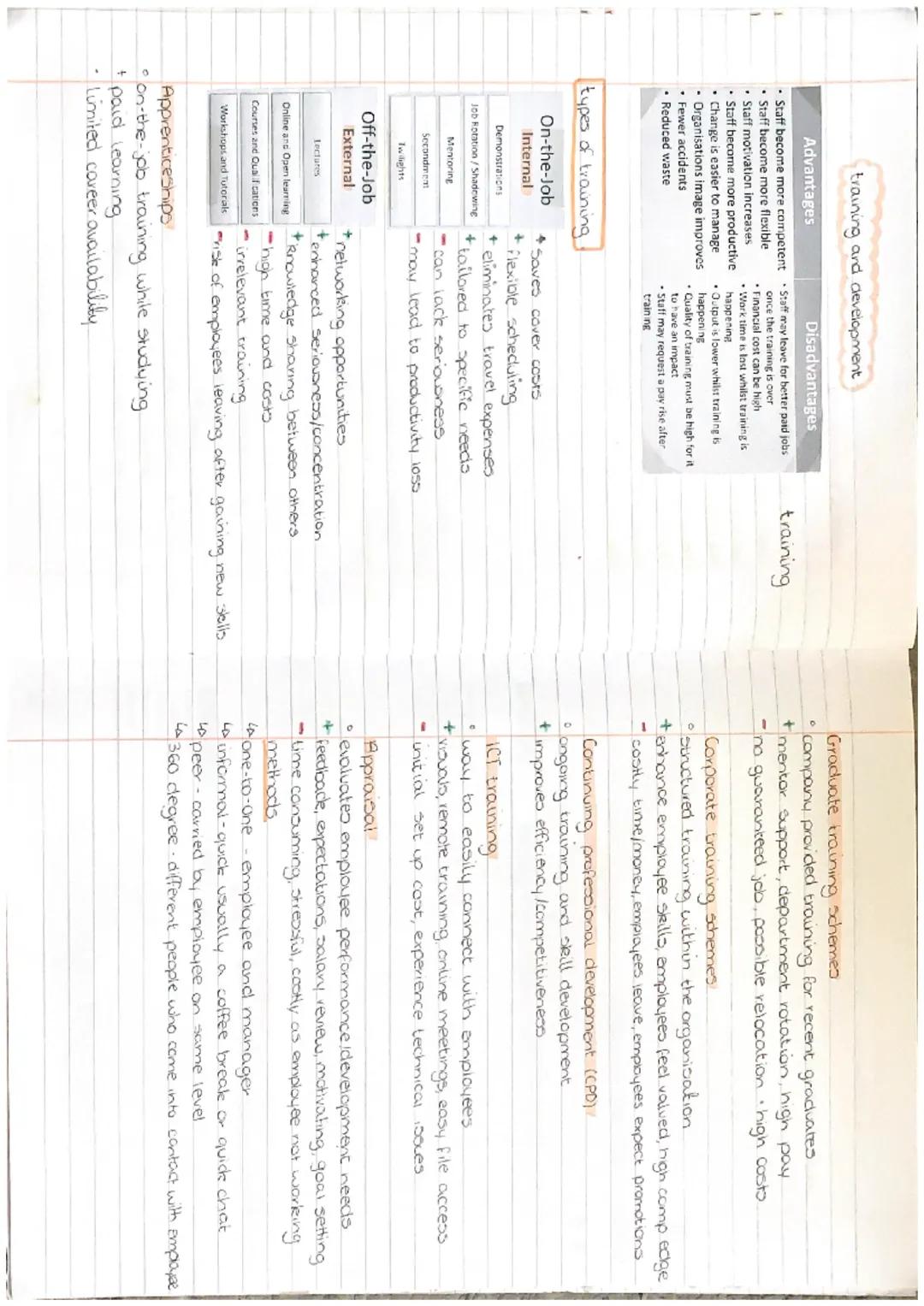 ### UNIT 3

MANAGEMENT OF
PEOPLE workforce planning : recruitment
(Human resources department)
role of recruitment and selection.
HR
*   pro