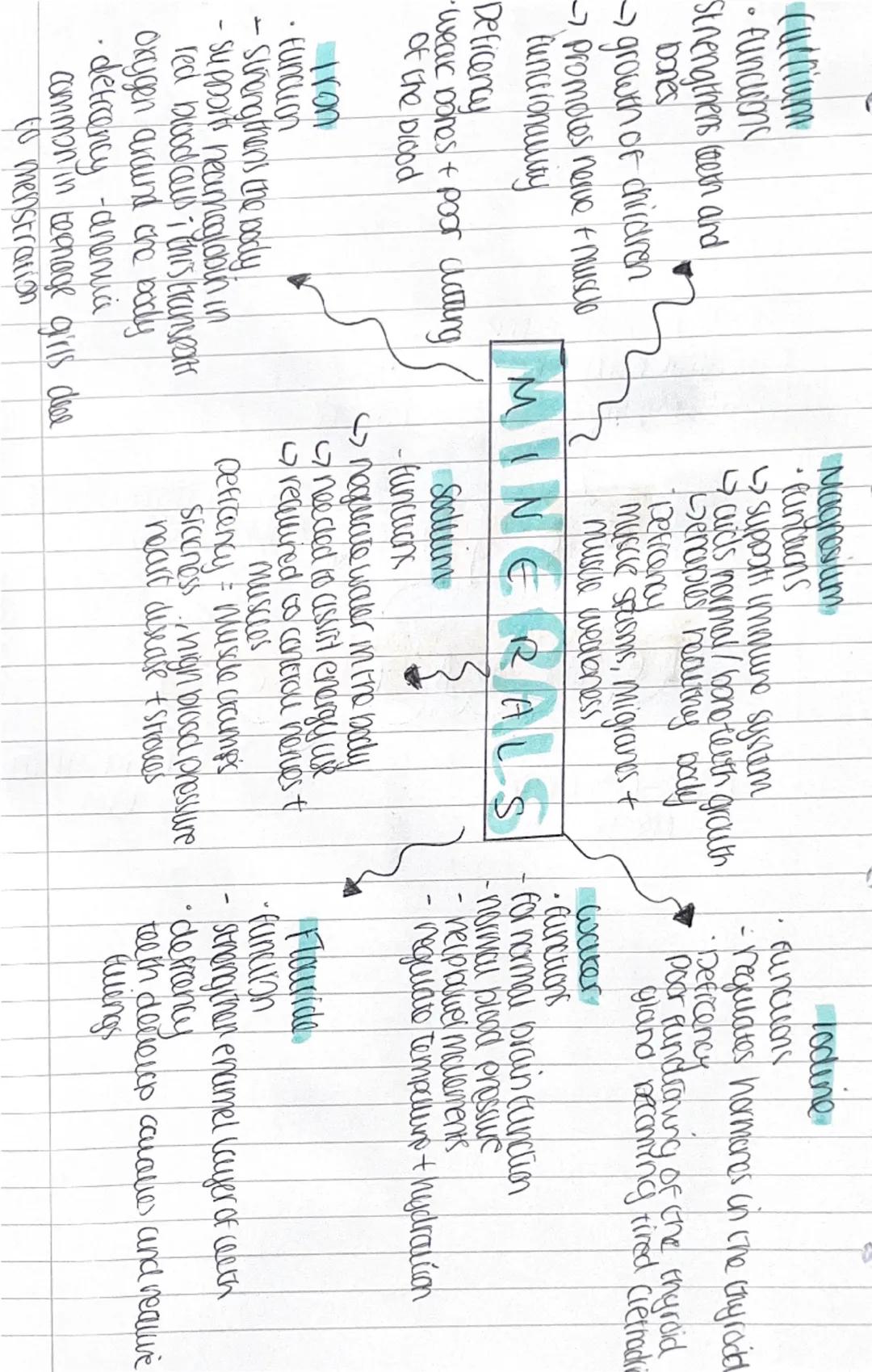 -vitamin A
-essential for manicurung
a necleny immuro system

vitamin B
-Hosorption and use
of calcium and phosphorus
-maintanance + strengt