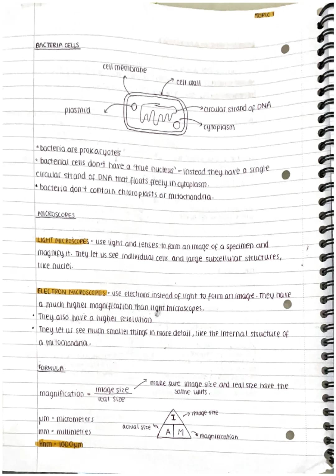 
<h2 id="prokaryoticandeukaryoticcells">Prokaryotic and Eukaryotic Cells</h2>
<p>Cells can be either prokaryotic or eukaryotic. Prokaryotic 