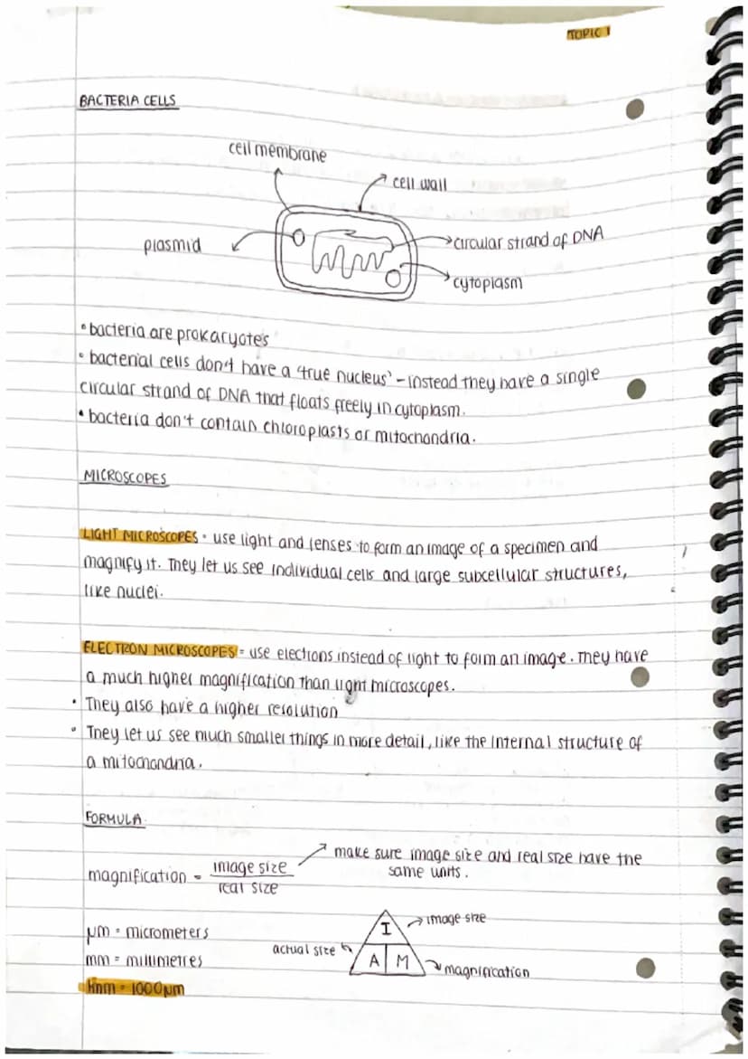 
<h2 id="prokaryoticandeukaryoticcells">Prokaryotic and Eukaryotic Cells</h2>
<p>Cells can be either prokaryotic or eukaryotic. Prokaryotic 