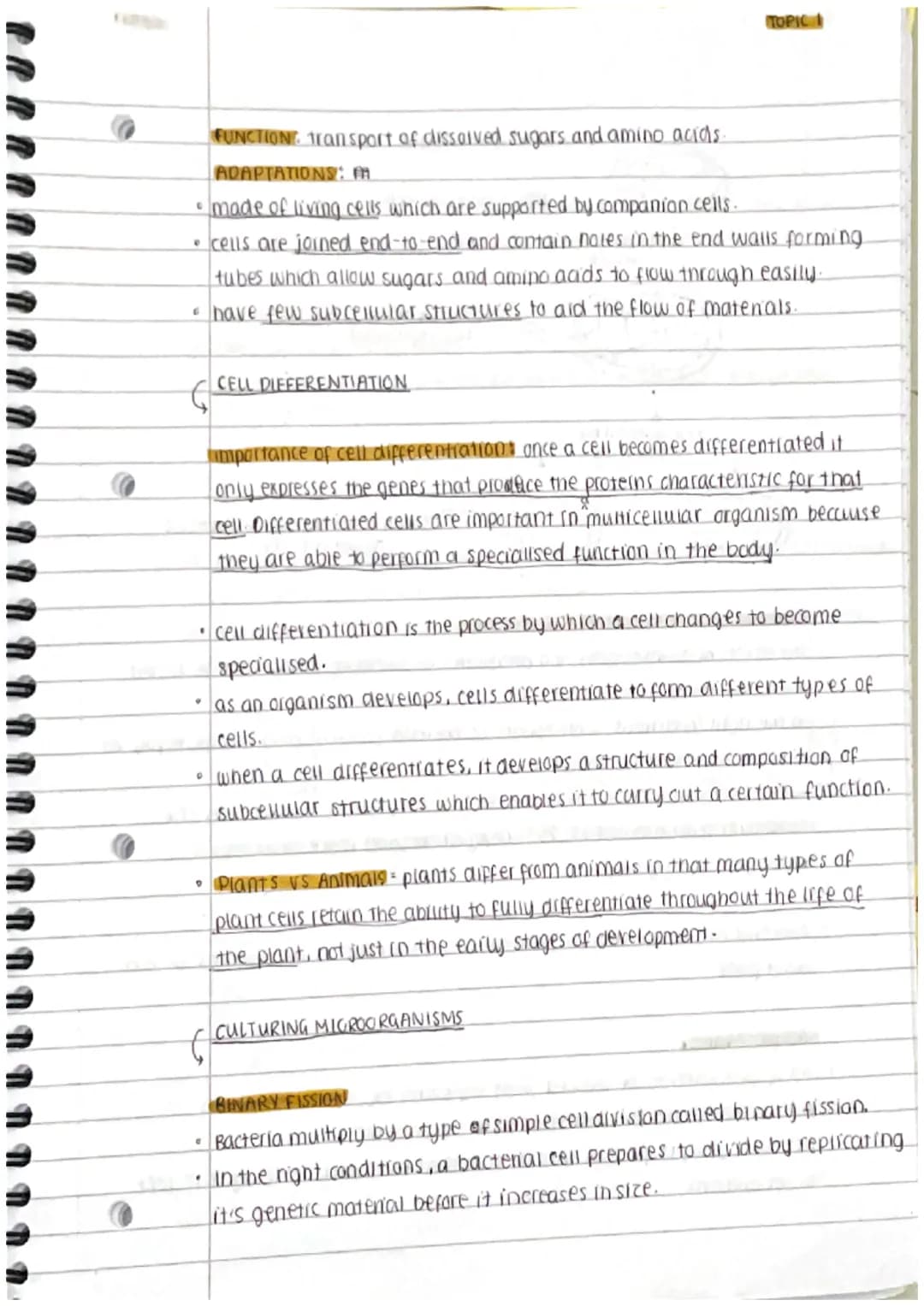 
<h2 id="prokaryoticandeukaryoticcells">Prokaryotic and Eukaryotic Cells</h2>
<p>Cells can be either prokaryotic or eukaryotic. Prokaryotic 