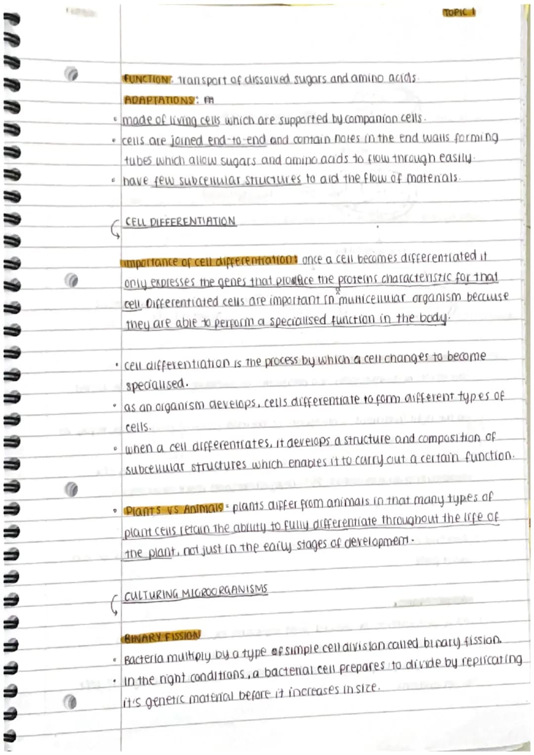 
<h2 id="prokaryoticandeukaryoticcells">Prokaryotic and Eukaryotic Cells</h2>
<p>Cells can be either prokaryotic or eukaryotic. Prokaryotic 