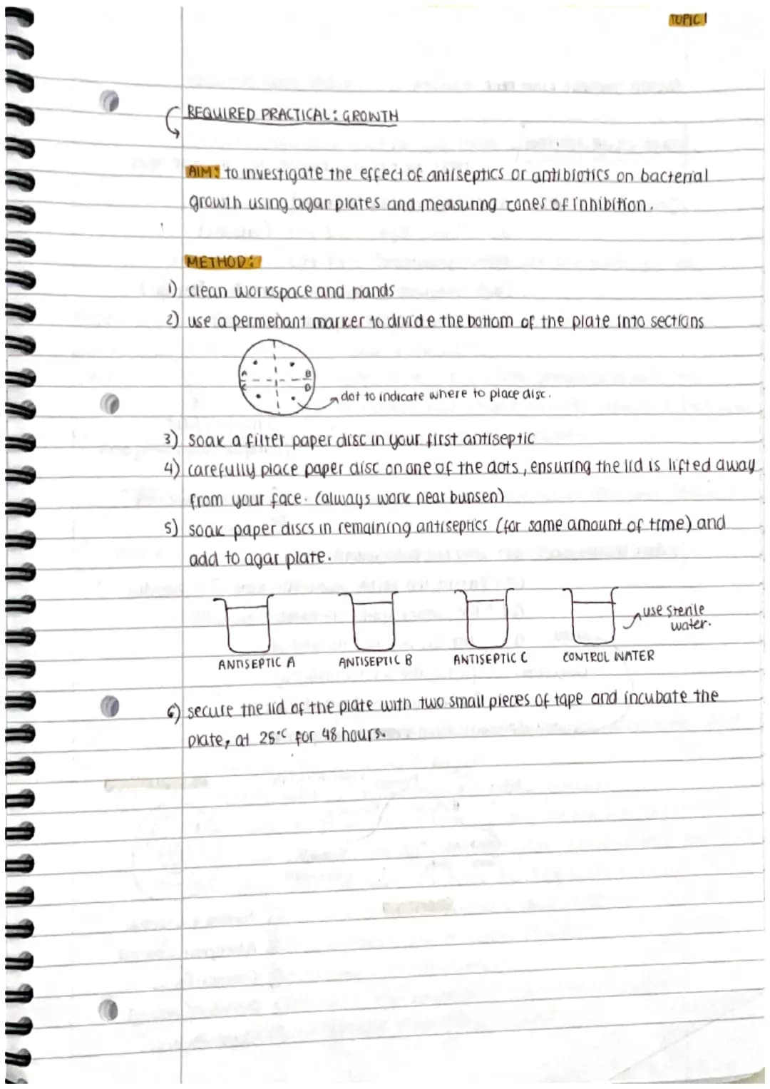 
<h2 id="prokaryoticandeukaryoticcells">Prokaryotic and Eukaryotic Cells</h2>
<p>Cells can be either prokaryotic or eukaryotic. Prokaryotic 