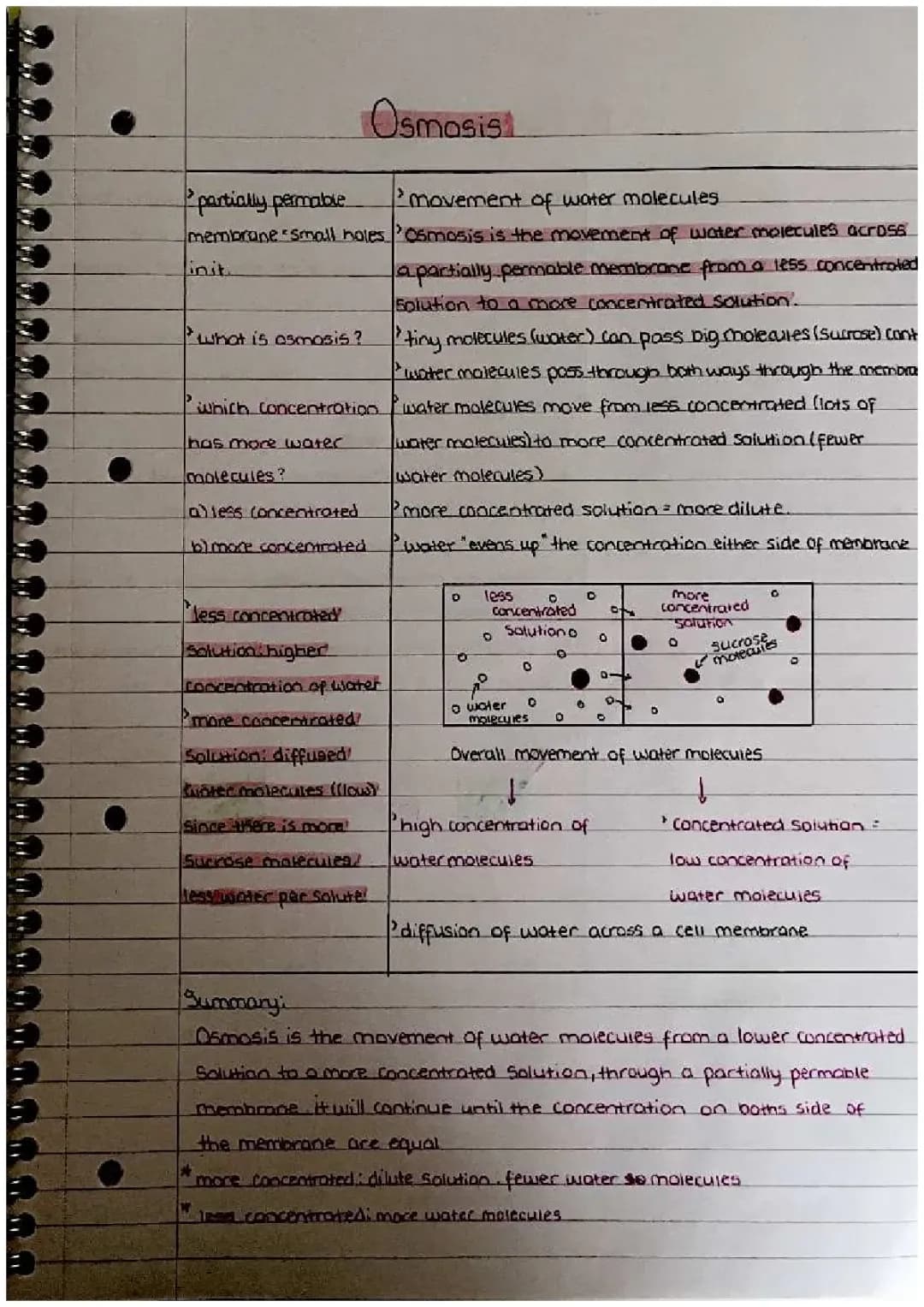 Easy Osmosis in Biology and Potato Experiment for Kids