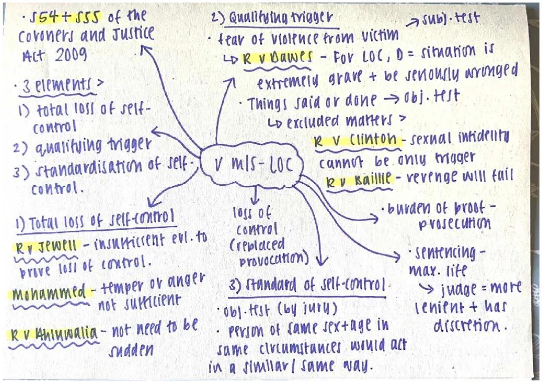 Voluntary manslaughter 