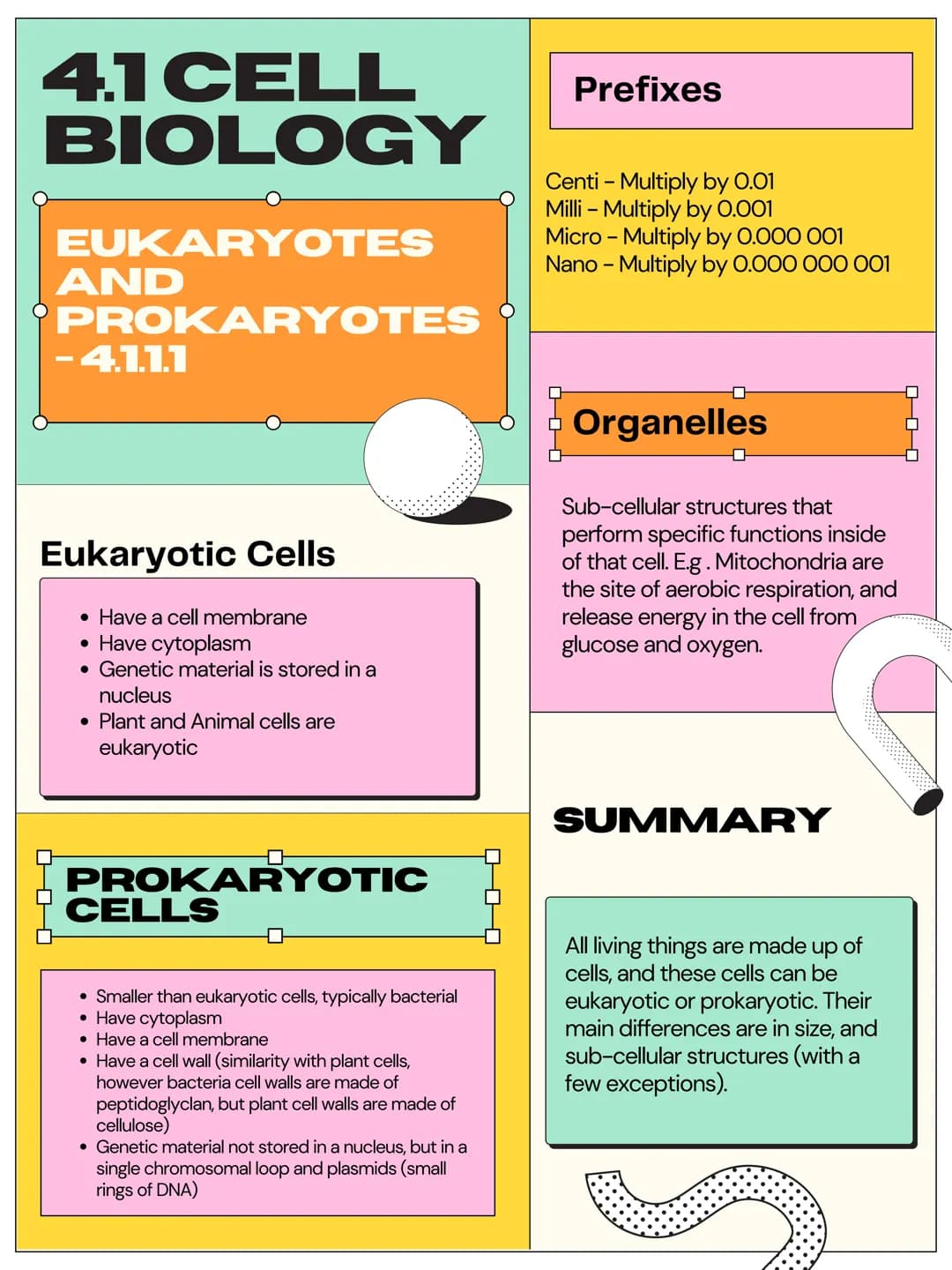4.1 CELL
BIOLOGY
EUKARYOTES
PROKARYOTES
AND
- 4.1.1.1
Eukaryotic Cells
• Have a cell membrane
Have cytoplasm
• Genetic material is stored in