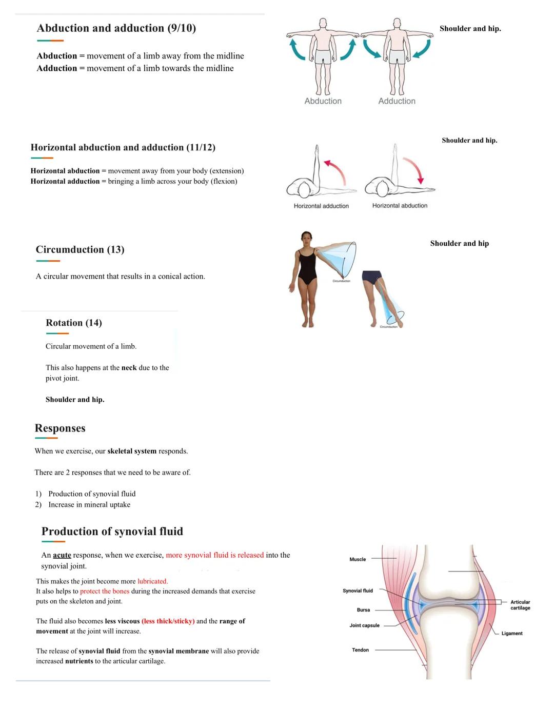 # Types of bones

## Long bone
Bones found in the limbs. They have a shaft know as the diaphysis and
two expanding ends known as the epiphys