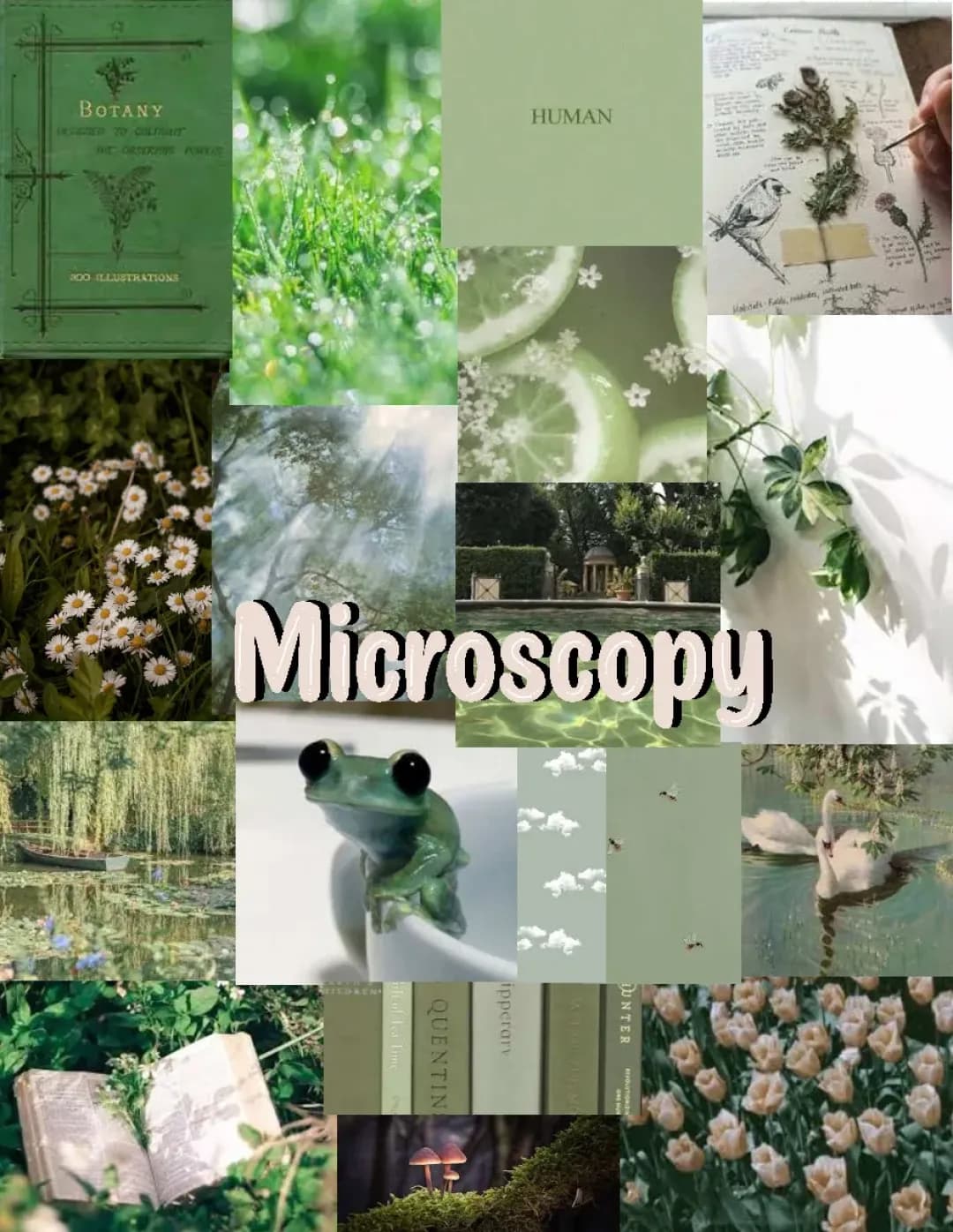 Cool Microscopes: Light vs Electron and Animal Cell Facts
