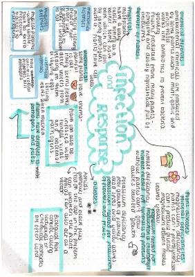 Know Infection and Response- Plant Defenses and Diseases thumbnail