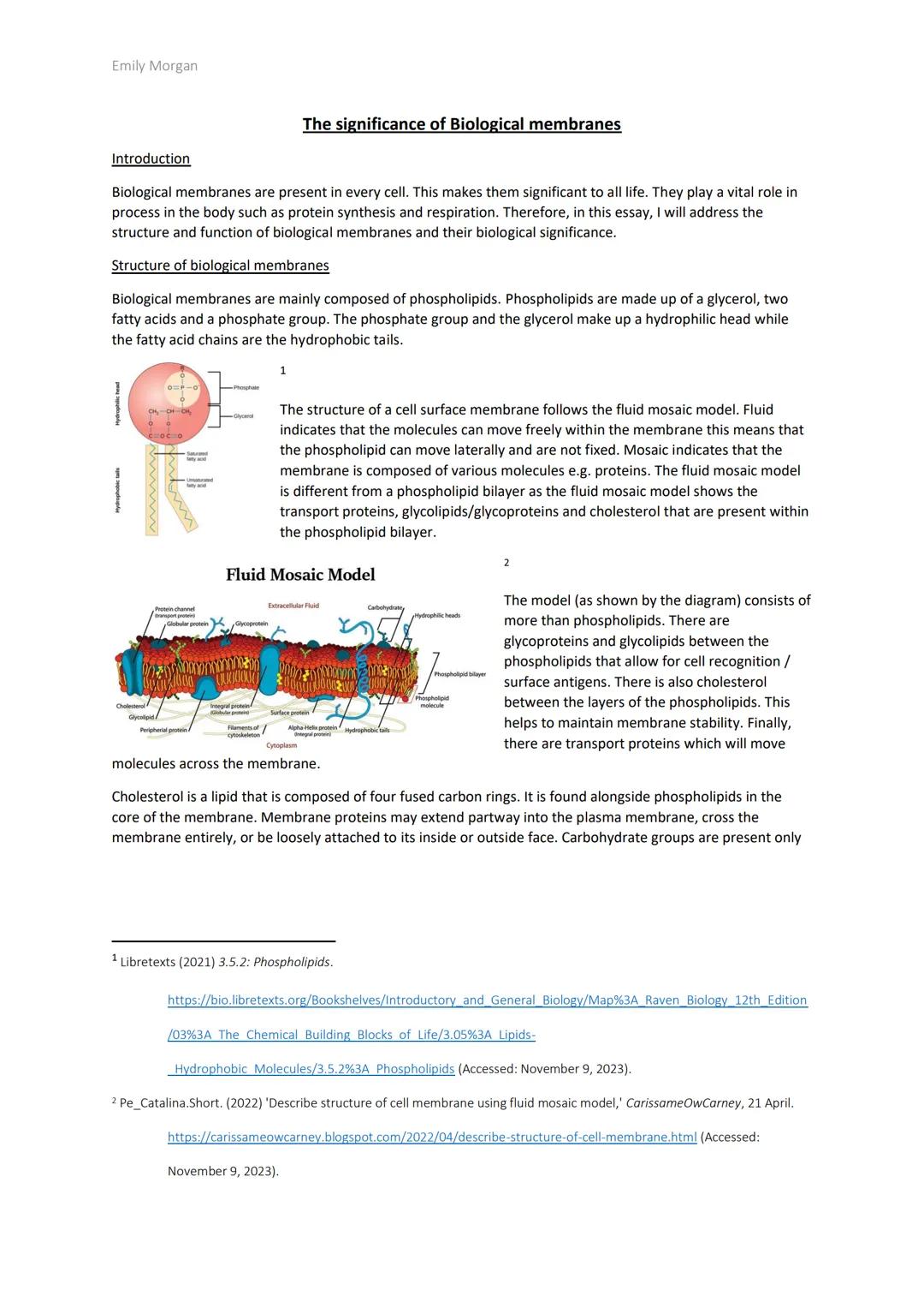 Cell membrane essay