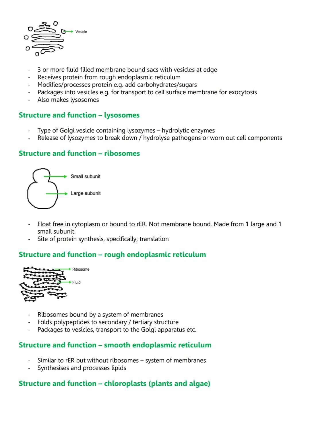 Unit 2: Cells
3.2.1.1 Structure of eukaryotic cells
Diagram of eukaryotic cells
Cy
Animal cell
Structure and function - nucleus
Wirilmitiva
