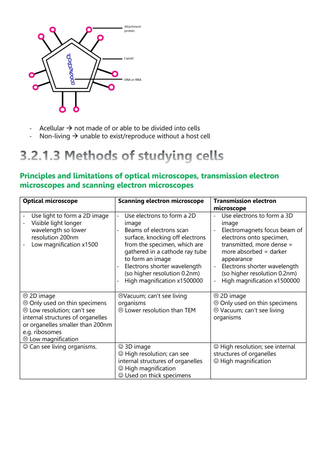 Unit 2: Cells
3.2.1.1 Structure of eukaryotic cells
Diagram of eukaryotic cells
Cy
Animal cell
Structure and function - nucleus
Wirilmitiva
