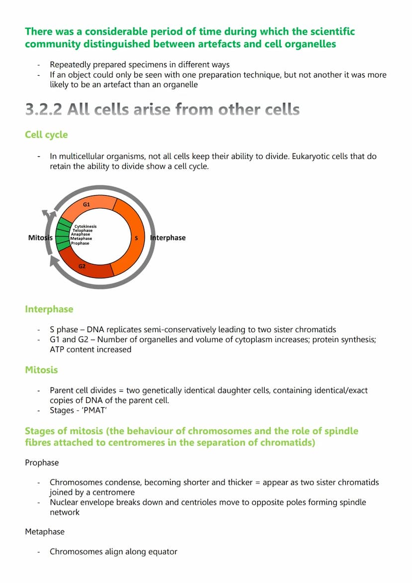Unit 2: Cells
3.2.1.1 Structure of eukaryotic cells
Diagram of eukaryotic cells
Cy
Animal cell
Structure and function - nucleus
Wirilmitiva
