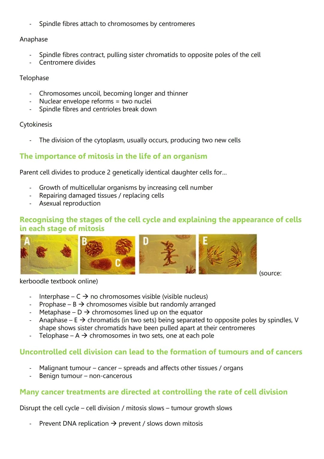 Unit 2: Cells
3.2.1.1 Structure of eukaryotic cells
Diagram of eukaryotic cells
Cy
Animal cell
Structure and function - nucleus
Wirilmitiva
