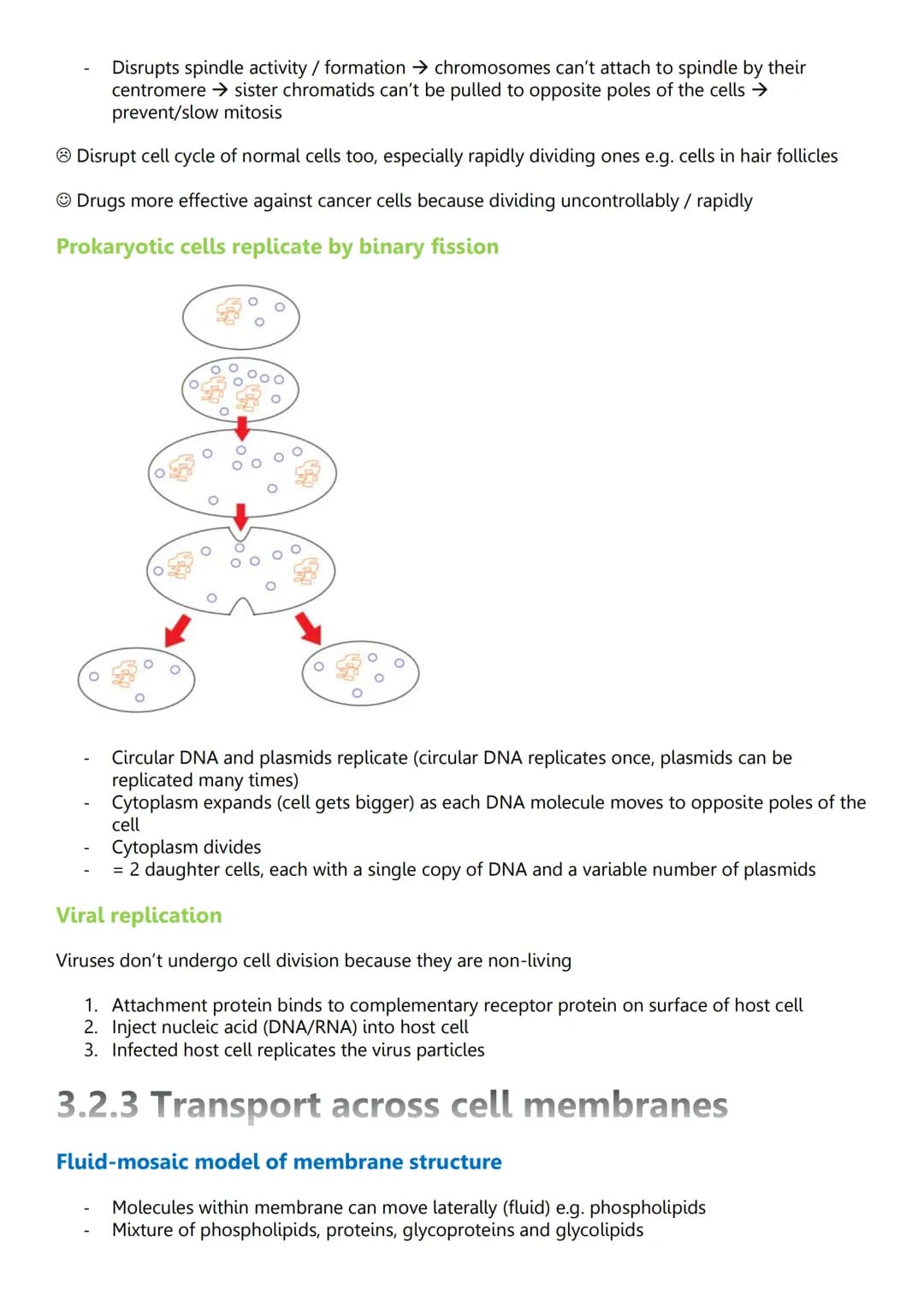 Unit 2: Cells
3.2.1.1 Structure of eukaryotic cells
Diagram of eukaryotic cells
Cy
Animal cell
Structure and function - nucleus
Wirilmitiva
