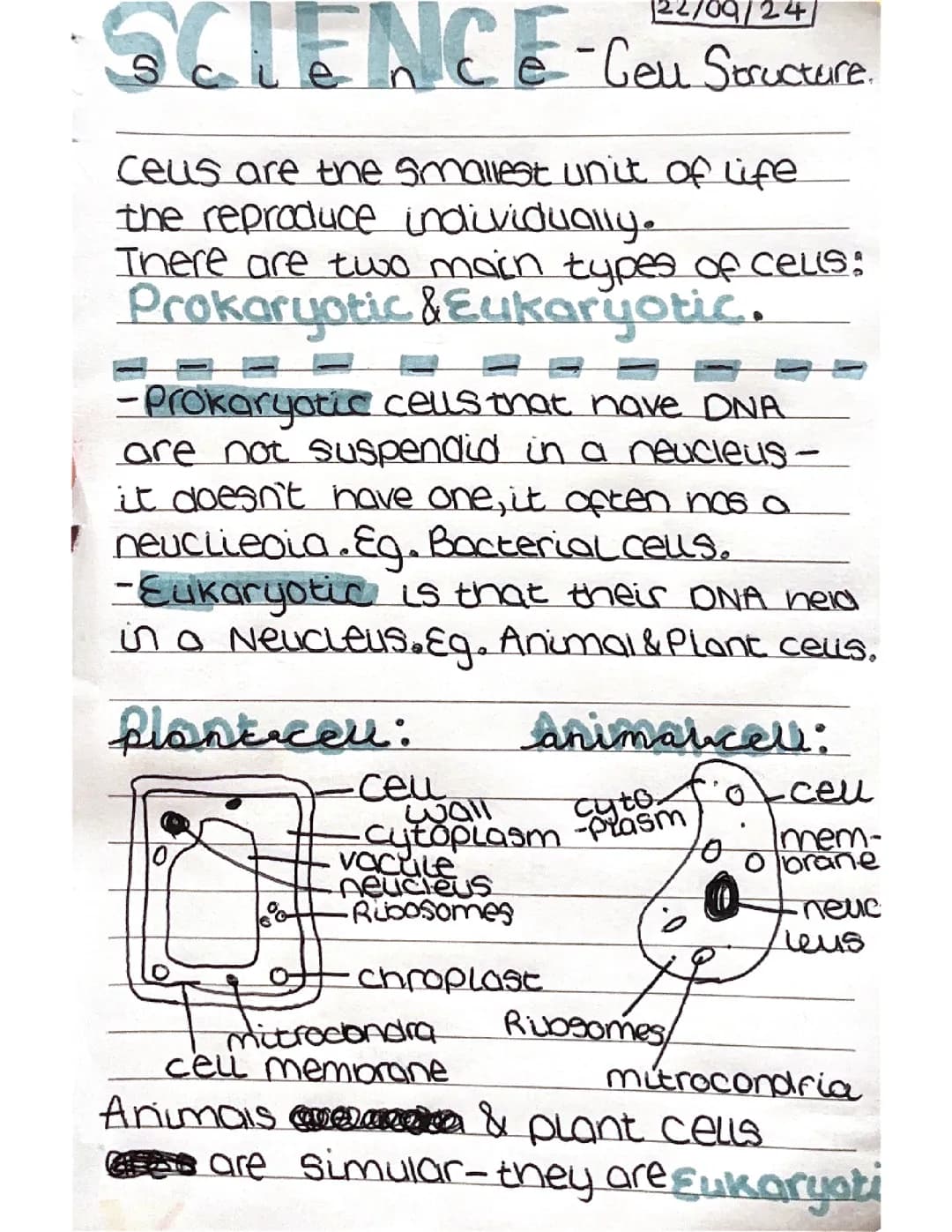cell structure 