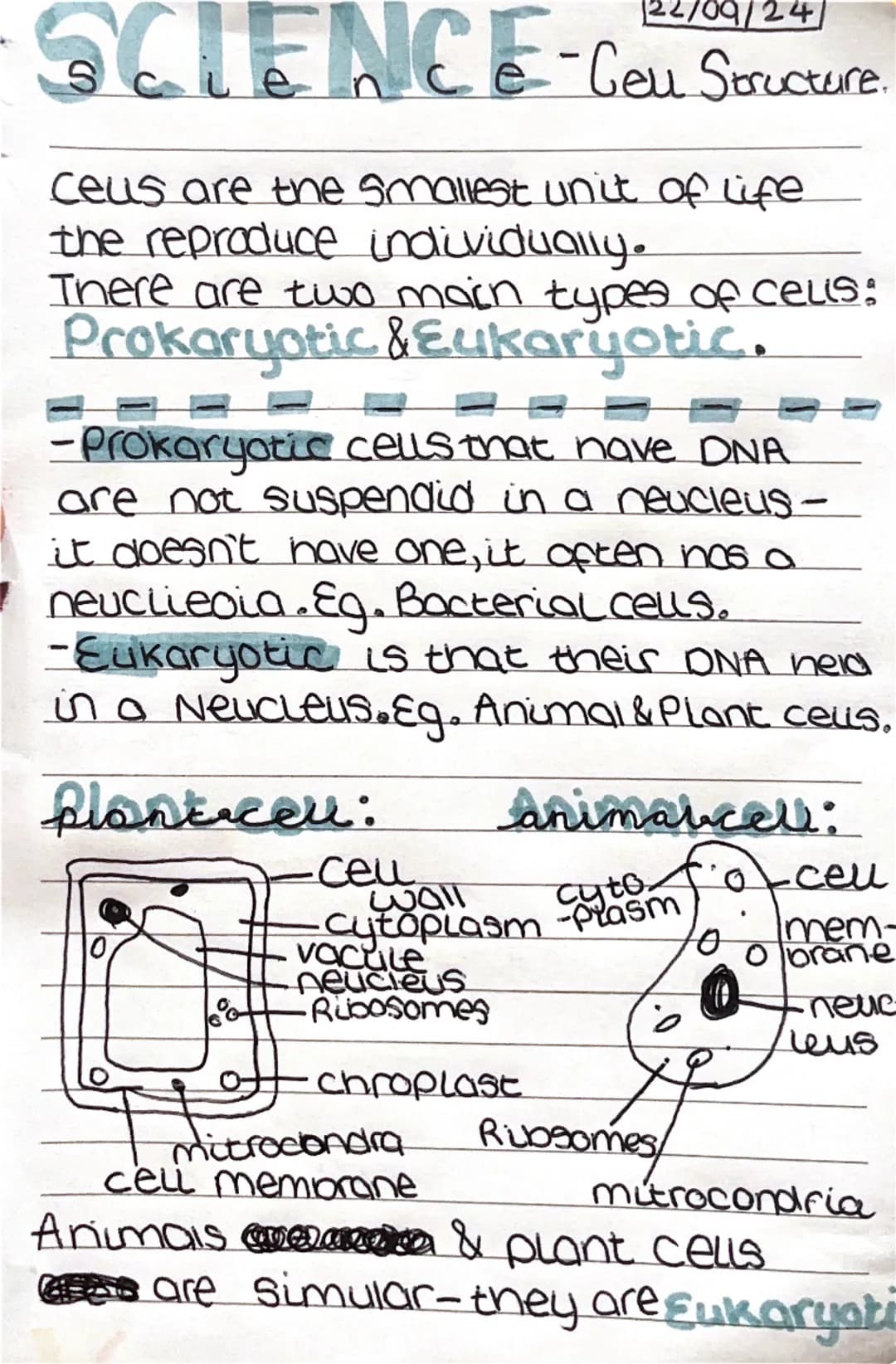 122/09/24
SCIENCE - Geu Structure.
ceus are the smallest unit of life
the reproduce individually.
There are two main types of cells:
Prokary